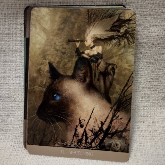 Fantasy Cats Oracle - Picture 6 of 11